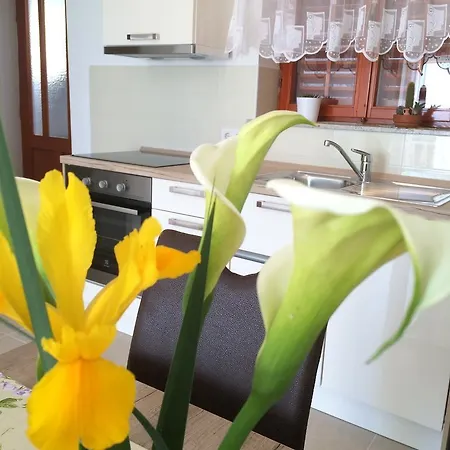 Rab View * New Translation