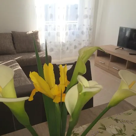Apartments Rab City View Apartment